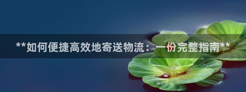 28圈加拿大真假怎么看