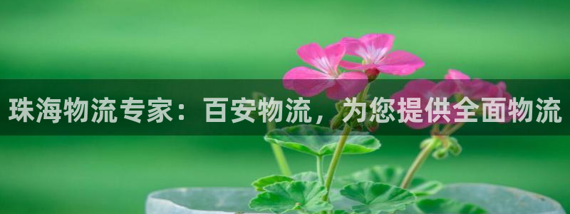 28圈APP是干什么的