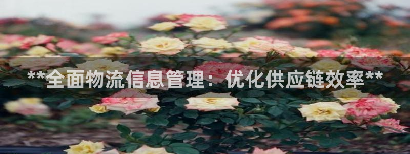 28圈流水怎么算
