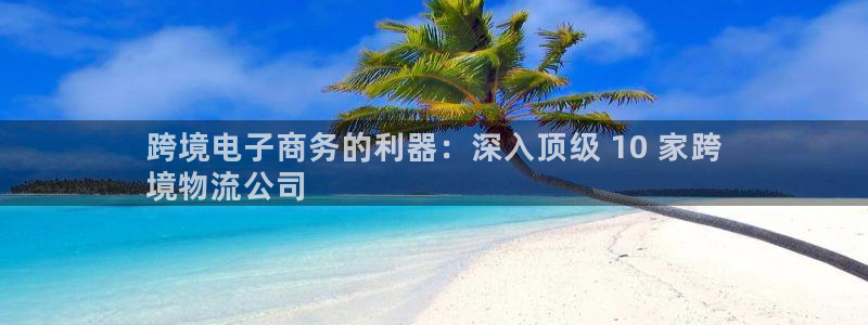 28圈官网预测：跨境电子商务的利器：