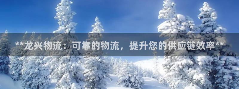 28圈p扣款什么意思：**龙兴物流：