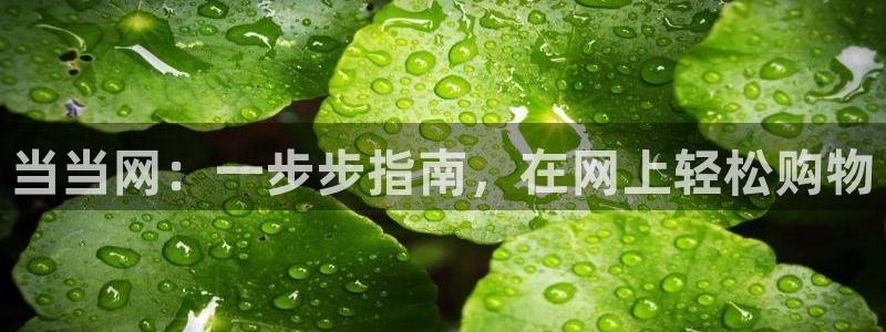 28圈加拿大真假怎么看