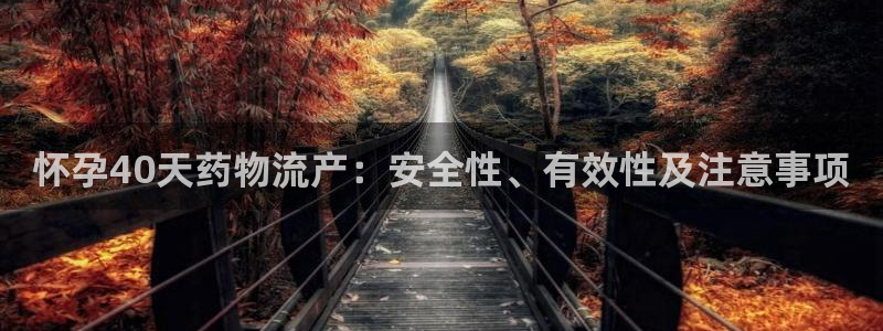 28圈充值方式