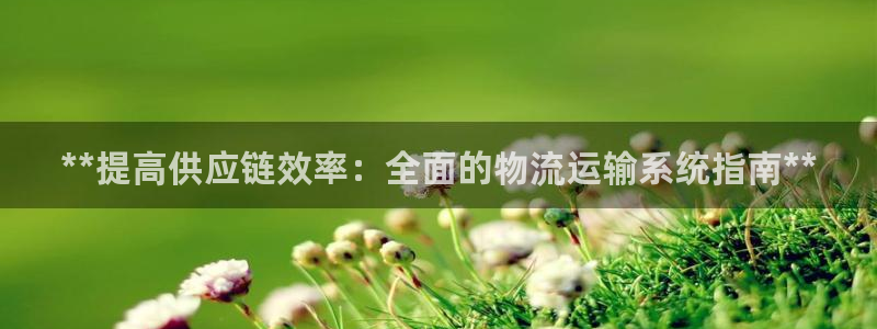 28圈注册账号：**提高供应链效率：