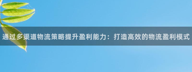 28圈免费充钱：通过多渠道物流策略提