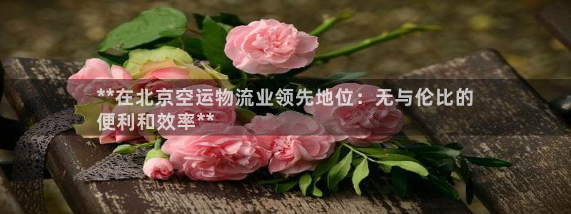 28圈预测加拿大师准：**在北京空运