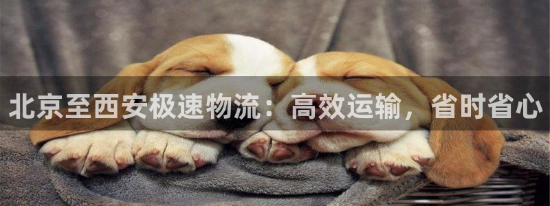 28圈赌博软件正规吗：北京至西安极速