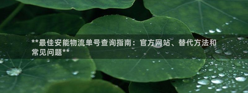 28圈官网平台下载：**最佳安能物流