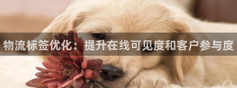 28圈防失联网址