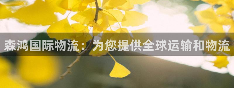 28圈激活码：森鸿国际物流：为您提供