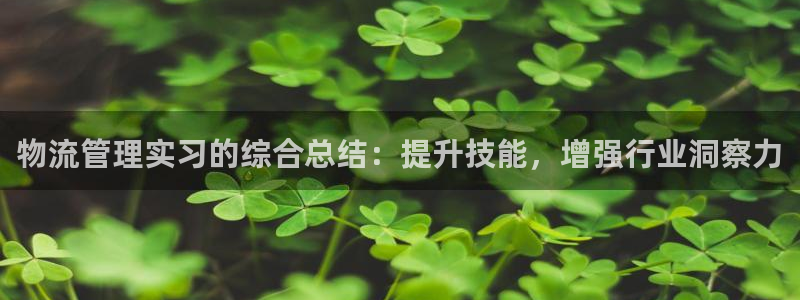 28圈官方网站是多少