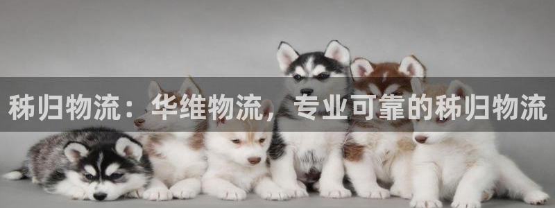 28圈分分28预测：秭归物流：华维物