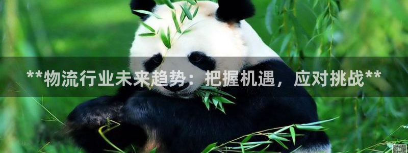 28圈注册入口与教程：**物流行业未