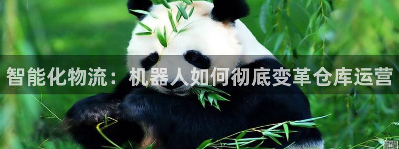 加拿大28圈数字规则：智能化物流：机