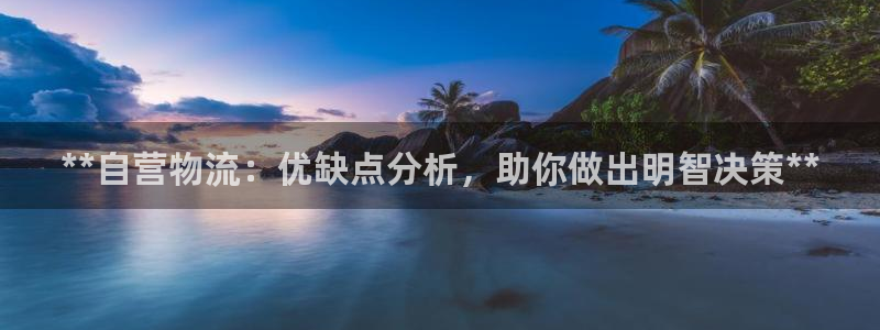 自行车28圈是什么意思：**自营物流