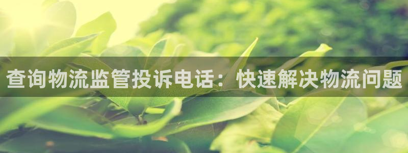 28圈充值：查询物流监管投诉电话：快