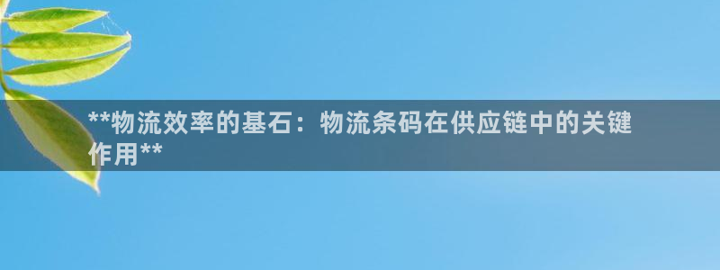 28圈是啥：**物流效率的基石：物流