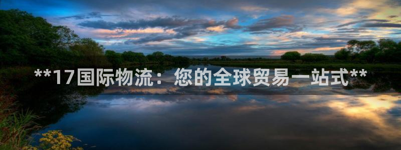 28圈注册网站多少：**17国际物流