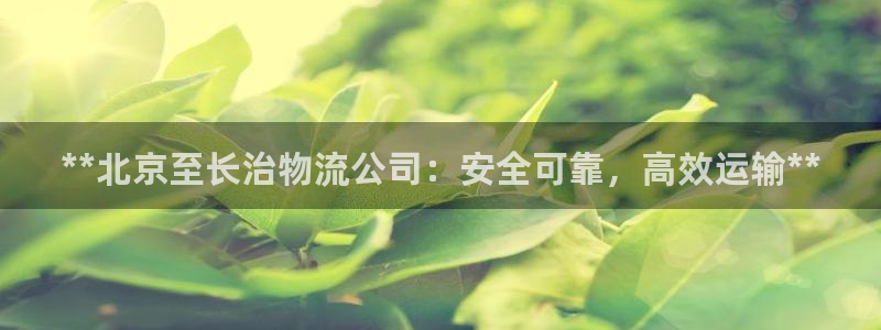 28圈cn：**北京至长治物流公司：