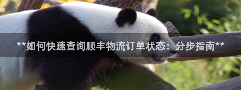 28圈入口问一问