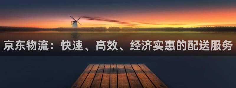 28圈口：京东物流：快速、高效、经济
