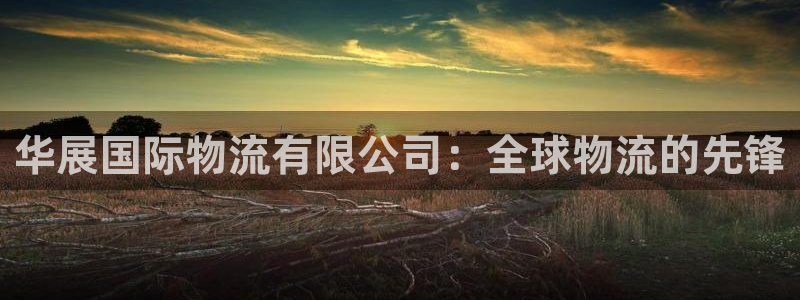28圈注册网站加拿大：华展国际物流有