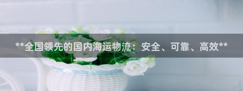 28圈注册步骤：**全国领先的国内海