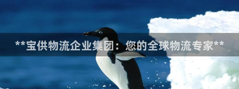 28圈加拿大2.8预测在线预测