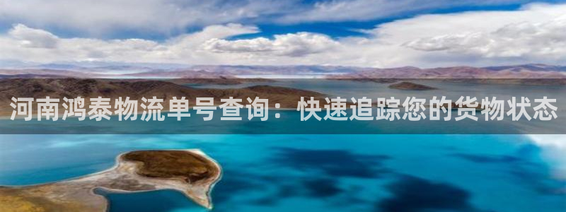 28圈登录网：河南鸿泰物流单号查询：