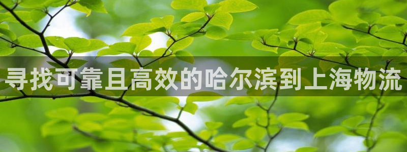 28圈官网开奖结果预测：寻找可靠且高