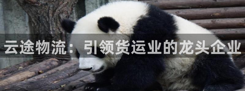 28圈注册网址百度知道：云途物流：引