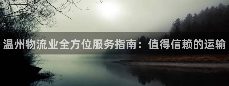 28圈登录不上咋回事：温州物流业全方