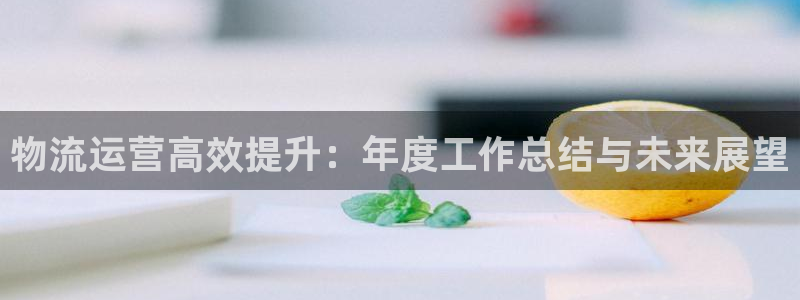 28圈注册：物流运营高效提升：年度工