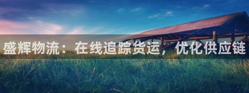 28圈官方官网版：盛辉物流：在线追踪