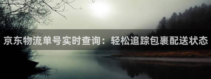28圈下载不了：京东物流单号实时查询
