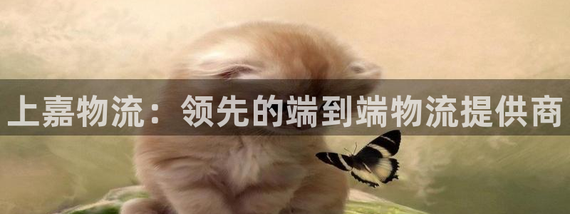 28圈.ccmpc28：上嘉物流：领