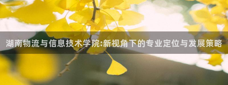 28圈圈