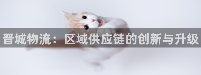 28圈充值方式