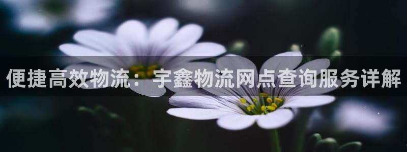 28圈官网多少