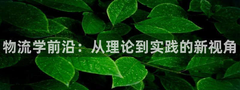 28圈注册登录链接流程