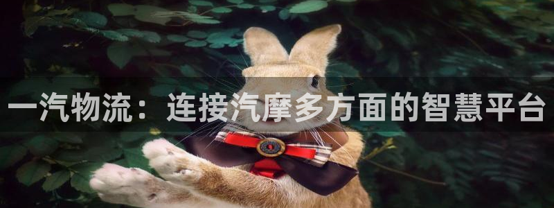 28圈游戏链接