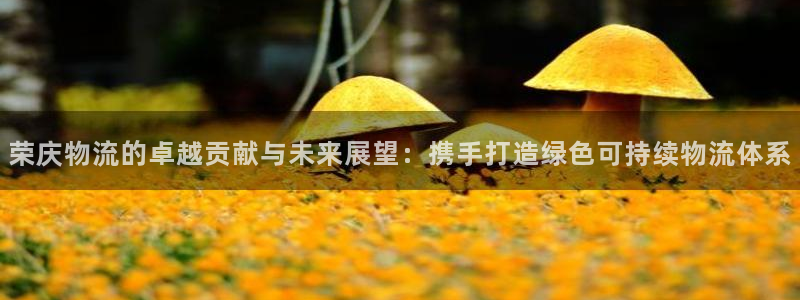 28圈现在狂杀