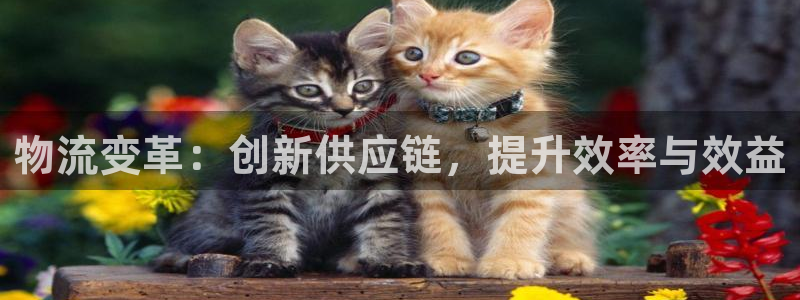 28圈ip被限制怎么解决