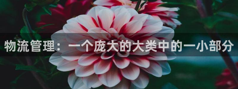 28圈登陆网