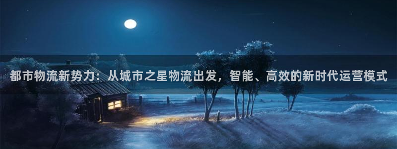 28圈注册网页版：都市物流新势力：从