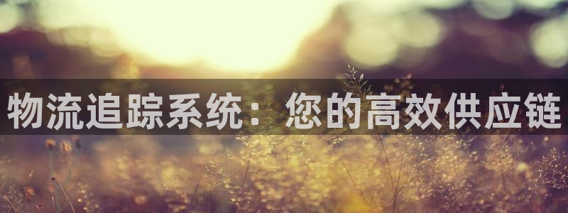 28圈连输10天