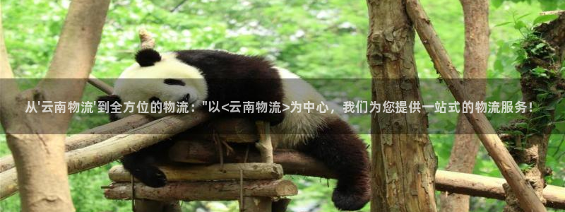 28圈登录不上咋回事：从\'云南物流\'到全方位的物流：\