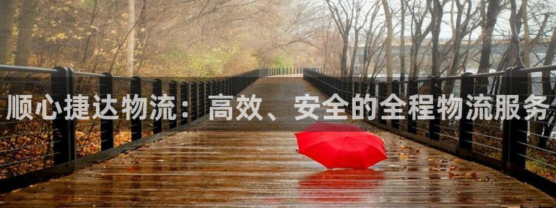 28圈技巧:顺心捷达物流:高效、安全
