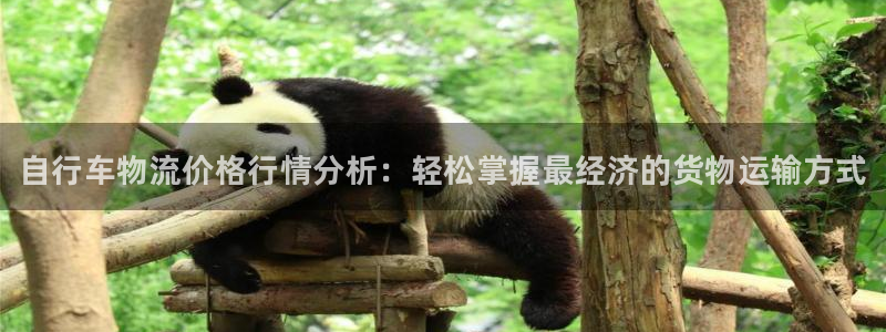 28圈加拿大模拟器:自行车物流价格行