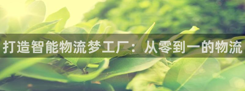 28圈p扣除是什么意思:打造智能物流